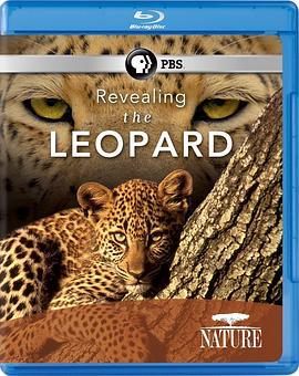 揭密美洲豹 Revealing the Leopard (2010) - 毒蛇电影