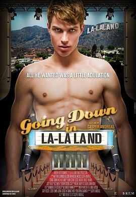 浮沉洛杉矶 Going Down in LA-LA Land (2011) - 毒蛇电影