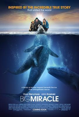 鲸奇 Big Miracle (2012) - 毒蛇电影