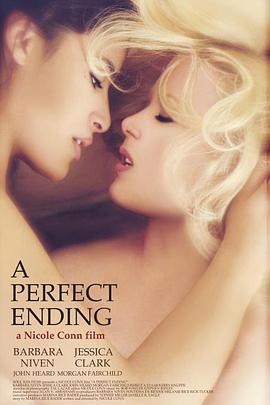 一个完美的结局 A Perfect Ending (2012) - 毒蛇电影