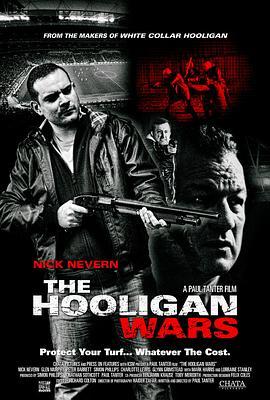 白领流氓 The Rise & Fall of a White Collar Hooligan (2012) - 毒蛇电影