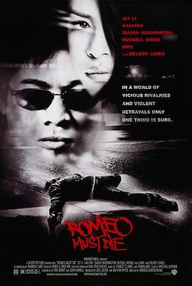 致命罗密欧 Romeo Must Die (2000) - 毒蛇电影