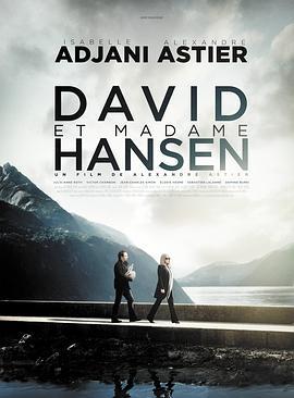 戴维和汉森夫人 David et Madame Hansen (2012) - 毒蛇电影