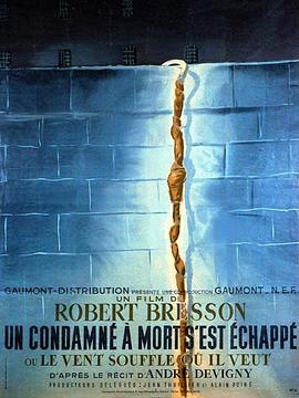 死囚越狱 Un Condamné à mort s'est échappé (1956) - 毒蛇电影