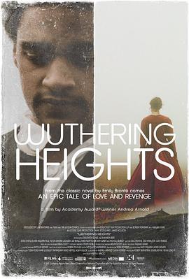 呼啸山庄 Wuthering Heights (2011) - 毒蛇电影