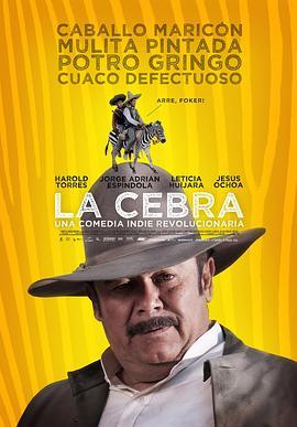 斑马 La cebra (2011) - 毒蛇电影