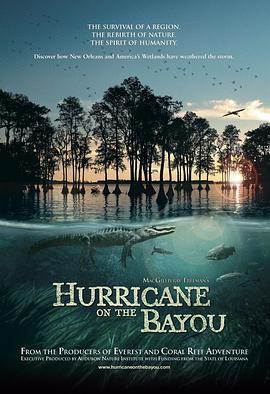 海湾的飓风 Hurricane on the Bayou (2006) - 毒蛇电影