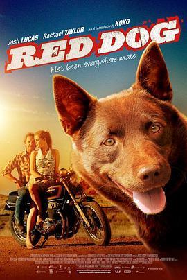 红犬历险记 Red Dog (2011) - 毒蛇电影