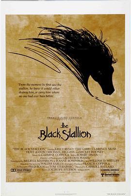 黑神驹 The Black Stallion (1979) - 毒蛇电影