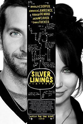 乌云背后的幸福线 Silver Linings Playbook (2012) - 毒蛇电影