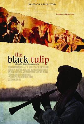 黑色郁金香 The Black Tulip (2010) - 毒蛇电影