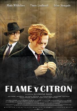 弗莱蒙与希特伦 Flammen & Citronen (2008) - 毒蛇电影