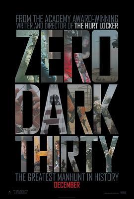 猎杀本·拉登 Zero Dark Thirty (2012) - 毒蛇电影