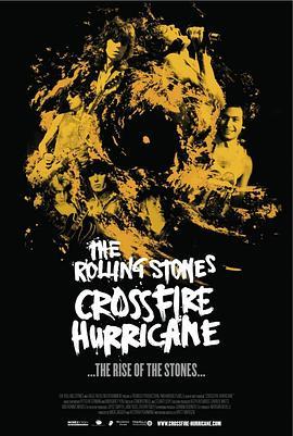 火力飓风 Crossfire Hurricane (2012) - 毒蛇电影