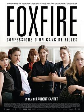 狐火：一个女生帮的自白 Foxfire, confessions d'un gang de filles (2012) - 毒蛇电影