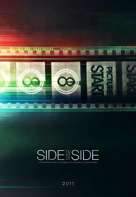 阴阳相成 Side by Side (2012) - 毒蛇电影