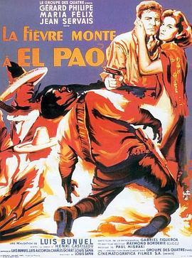 帕欧的火山 La fièvre monte à El Pao (1959) - 毒蛇电影