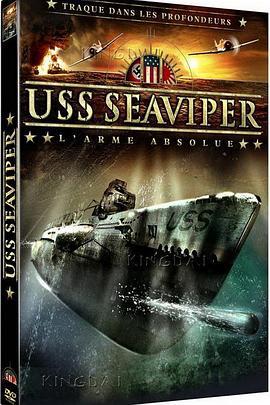 美国战舰 USS Seaviper (2012) - 毒蛇电影