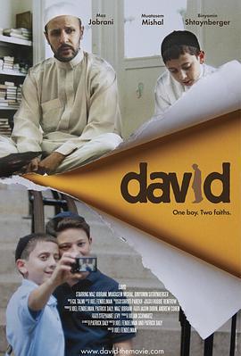 大卫 David (2011) - 毒蛇电影