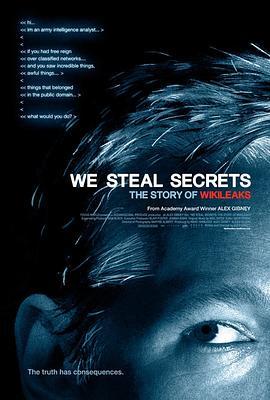 我们窃取秘密：维基解密的故事 We Steal Secrets: The Story of WikiLeaks (2013) - 毒蛇电影