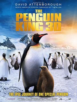 企鹅王历险 The Penguin King (2012) - 毒蛇电影