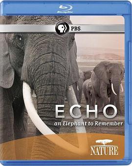 大象"回声"的回忆 Echo: An Elephant to Remember (2010) - 毒蛇电影