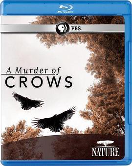 乌鸦 Nature: A Murder of Crows (2010) - 毒蛇电影