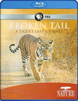 老虎“断尾”的最后旅程 Nature: Broken Tail A Tiger's Last Journey (2011) - 毒蛇电影