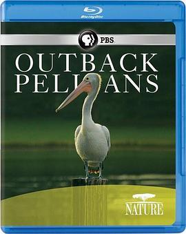 内地鹈鹕 Nature: Outback Pelicans (2011) - 毒蛇电影