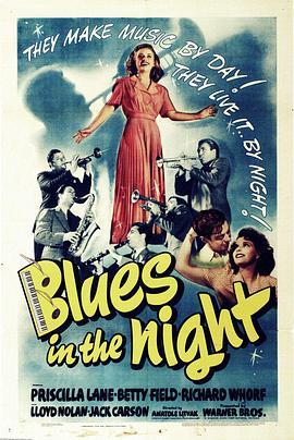 夜晚布鲁士 Blues in the Night (1941) - 毒蛇电影