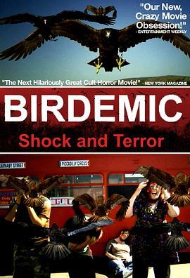 群鸟：震惊和恐怖 Birdemic: Shock and Terror (2010) - 毒蛇电影