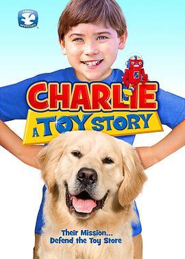 查理：一个玩具故事 Charlie: A Toy Story (2013) - 毒蛇电影