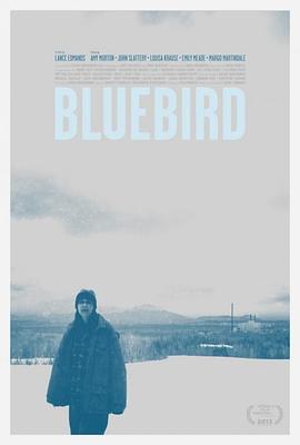 青鸟 Bluebird (2013) - 毒蛇电影