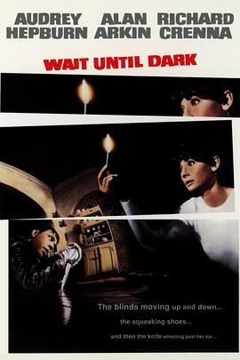 盲女惊魂记 Wait Until Dark (1967) - 毒蛇电影