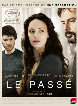 过往 Le Passé (2013) - 毒蛇电影