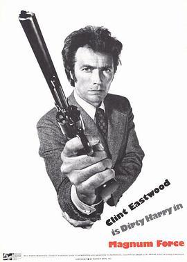 紧急搜捕令 Magnum Force (1973) - 毒蛇电影