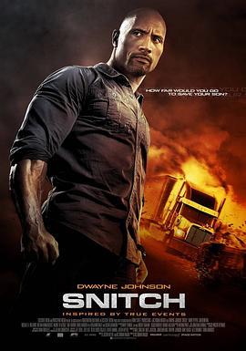 告密者 Snitch (2013) - 毒蛇电影