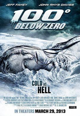 零下100度 100 Degrees Below Zero (2013) - 毒蛇电影