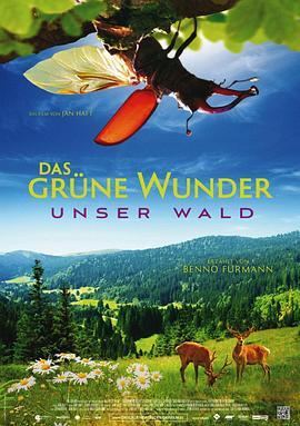 大自然之舞 Das grüne Wunder - Unser Wald (2012) - 毒蛇电影