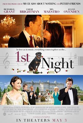 恋爱初登场 First Night (2010) - 毒蛇电影