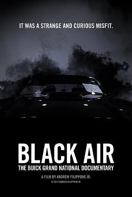 引擎黑烟：别克Grand National全记录 Black Air: The Buick Grand National Documentary (2012) - 毒蛇电影