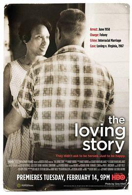 漫长回家路：一个爱情故事 Long Way Home: The Loving Story (2011) - 毒蛇电影