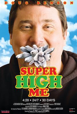 幻世人生 Super High Me (2007) - 毒蛇电影