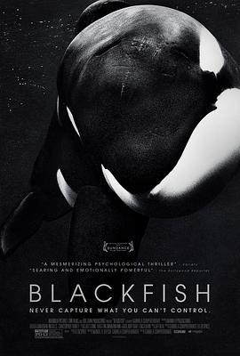 黑鲸 Blackfish (2013) - 毒蛇电影