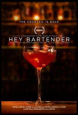 嘿，调酒师 Hey Bartender (2013) - 毒蛇电影