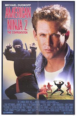 美国忍者2：战斗人 American Ninja 2: The Confrontation (1987) - 毒蛇电影