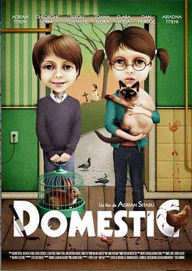 家务事 Domestic (2012) - 毒蛇电影