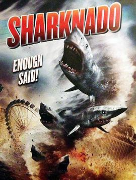 鲨卷风 Sharknado (2013) - 毒蛇电影