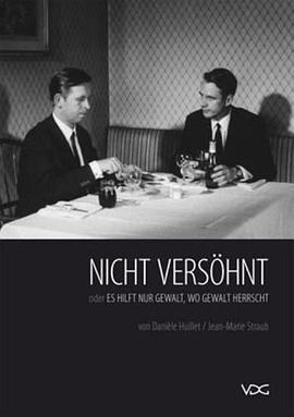 没有和解 Nicht versöhnt oder Es hilft nur Gewalt wo Gewalt herrscht (1965) - 毒蛇电影