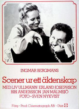 婚姻生活 Scener ur ett äktenskap (1973) - 毒蛇电影